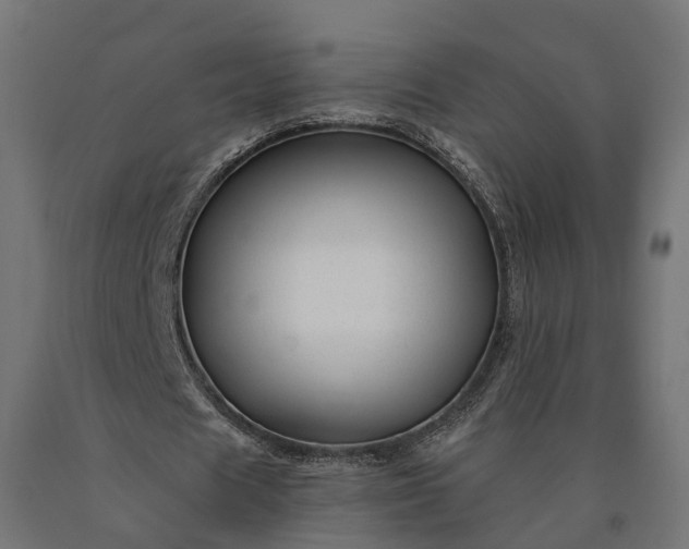 X0000090760625200708031631