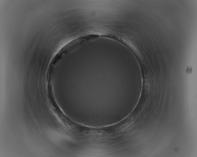 X0000090760626200708031631