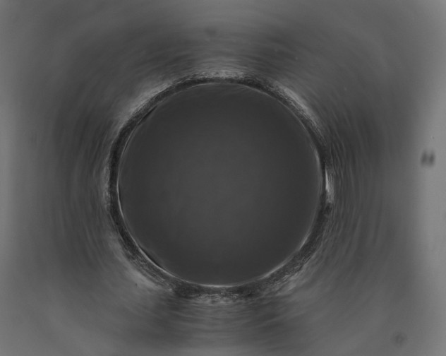 X0000090760627200708031631