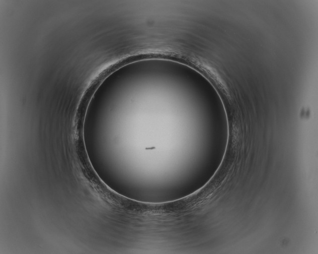 X0000090760628200708031631