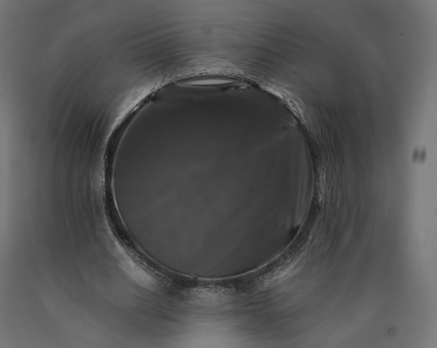 X0000090760630200708031631