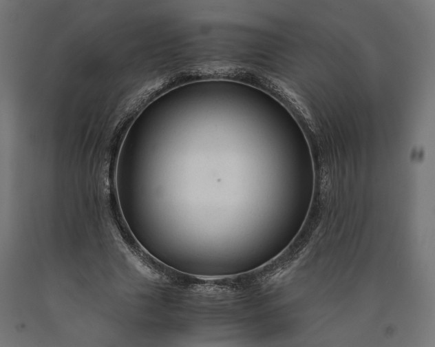 X0000090760633200708031631