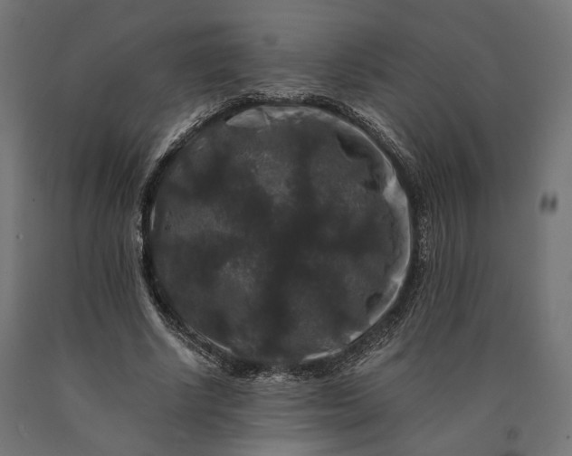 X0000090760634200708031631