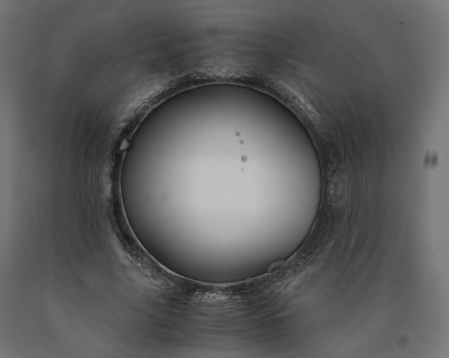 X0000090760635200708031631