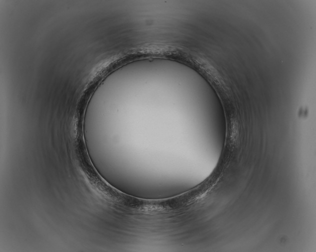 X0000090760636200708031631