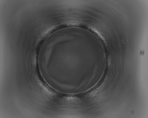 X0000090760637200708031631