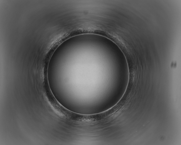 X0000090760638200708031631