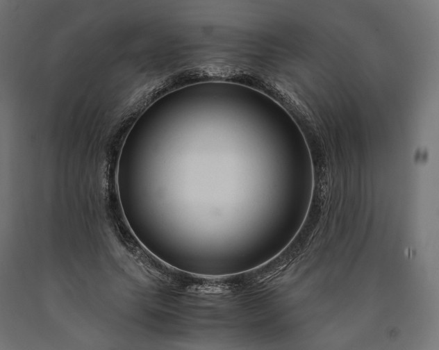 X0000090760639200708031631