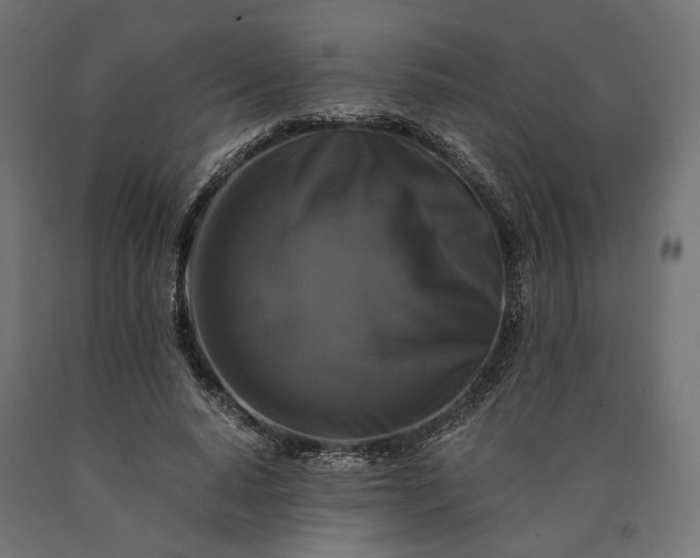 X0000090760640200708031631