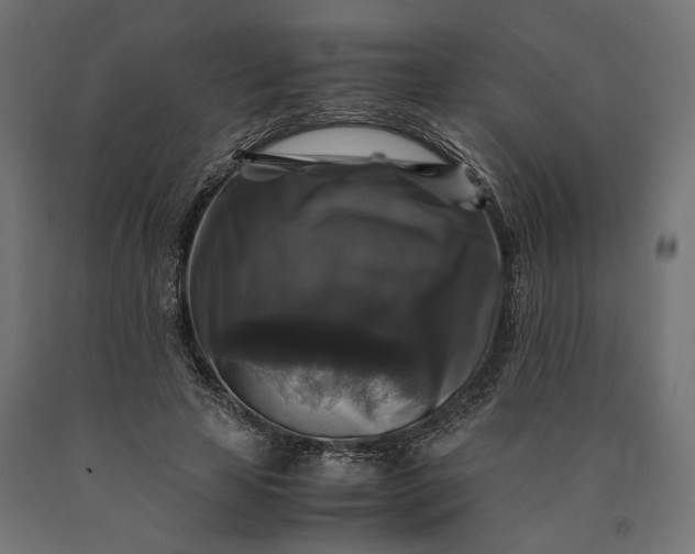 X0000090760641200708031631