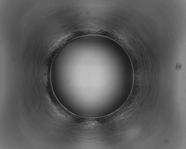 X0000090760642200708031631