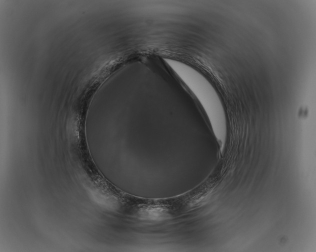 X0000090760643200708031631