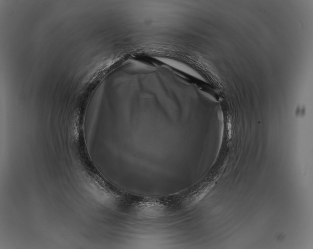 X0000090760644200708031631