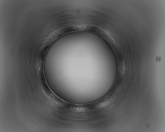 X0000090760645200708031631