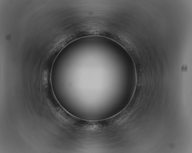 X0000090760646200708031631