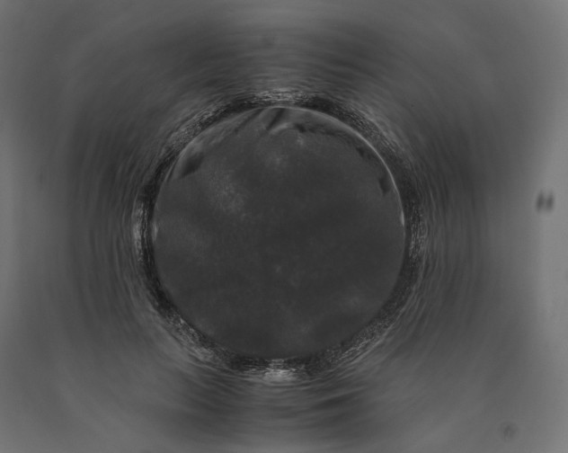 X0000090760647200708031631