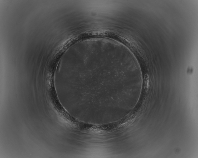 X0000090760648200708031631