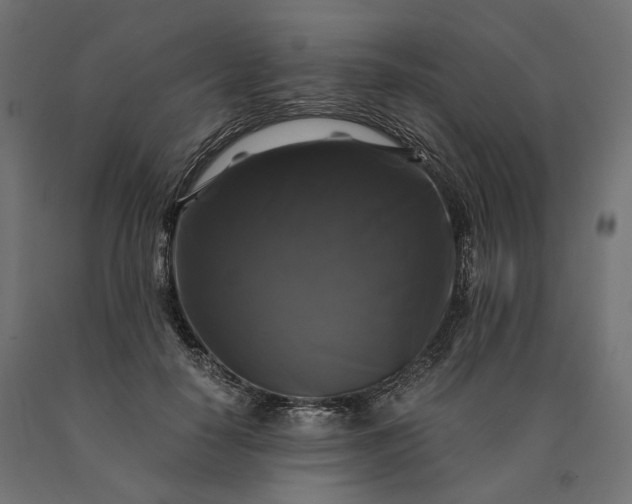 X0000090760650200708031631