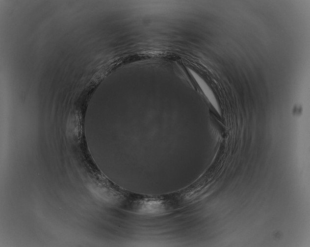 X0000090760651200708031631