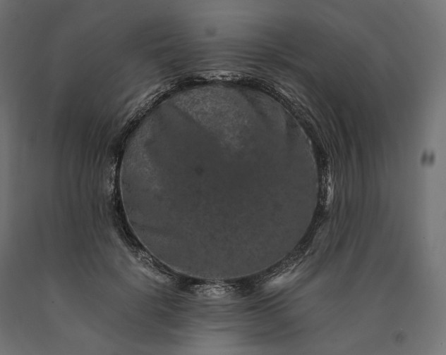 X0000090760652200708031631