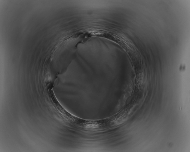 X0000090760653200708031631