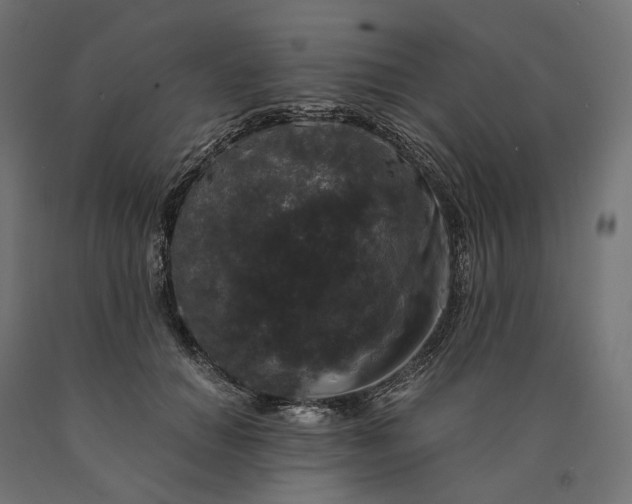 X0000090760654200708031631