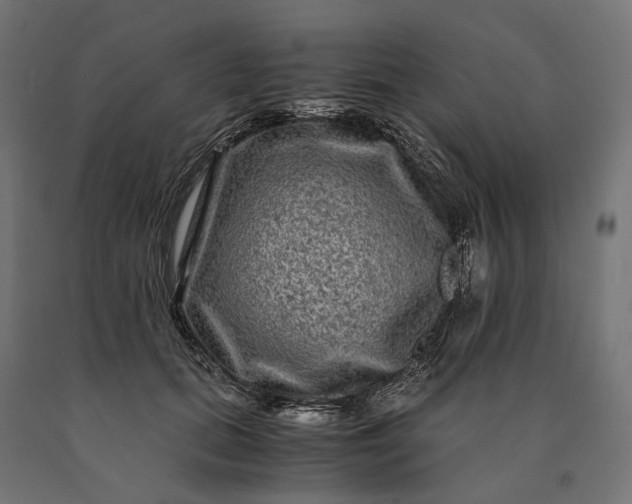 X0000090760655200708031631