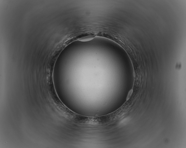 X0000090760656200708031631