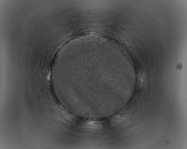 X0000090760657200708031631