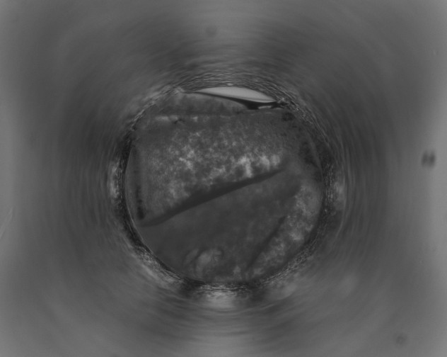 X0000090760658200708031631