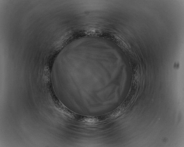 X0000090760659200708031631