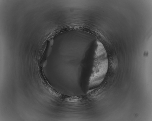 X0000090760661200708031631