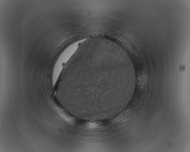 X0000090760662200708031631