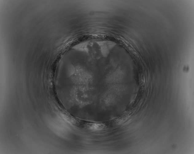 X0000090760663200708031631