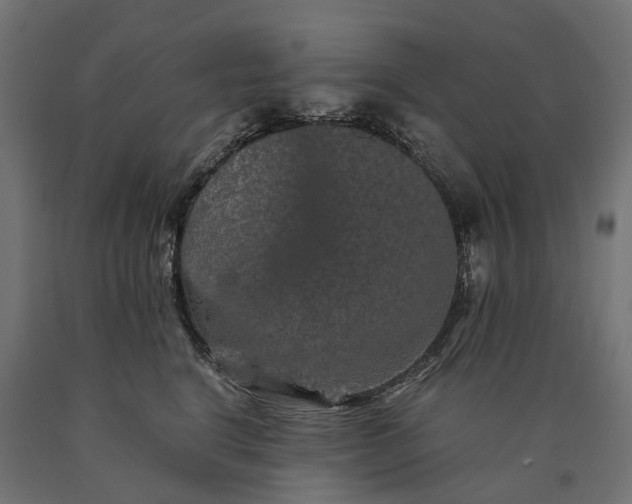 X0000090760664200708031631