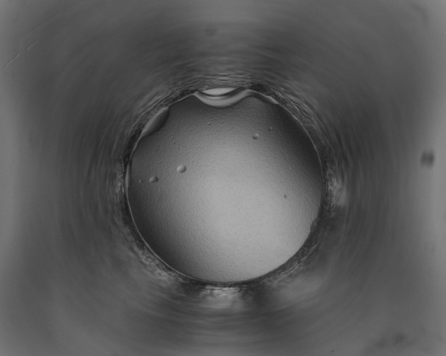 X0000090760665200708031631