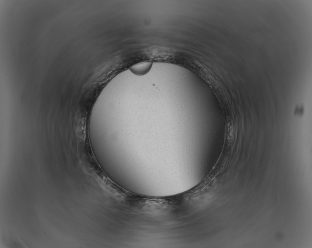 X0000090760666200708031631