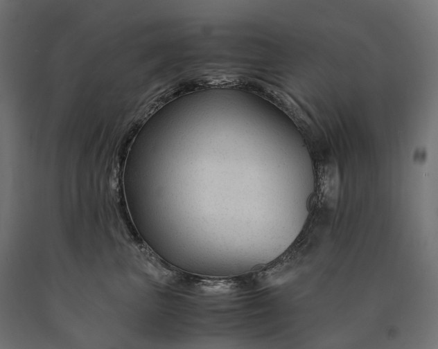 X0000090760667200708031631