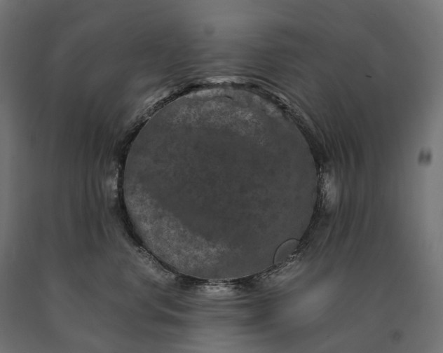 X0000090760668200708031631