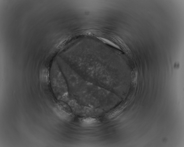 X0000090760669200708031631