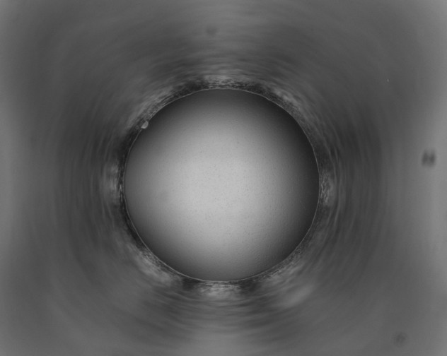 X0000090760670200708031631