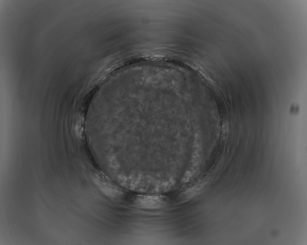 X0000090760671200708031631