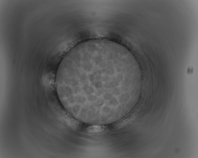 X0000090760672200708031631