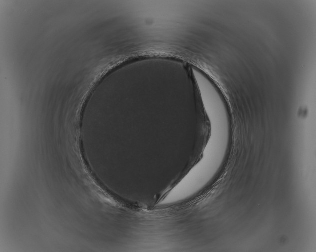 X0000090760673200708031631