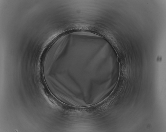 X0000090760674200708031631