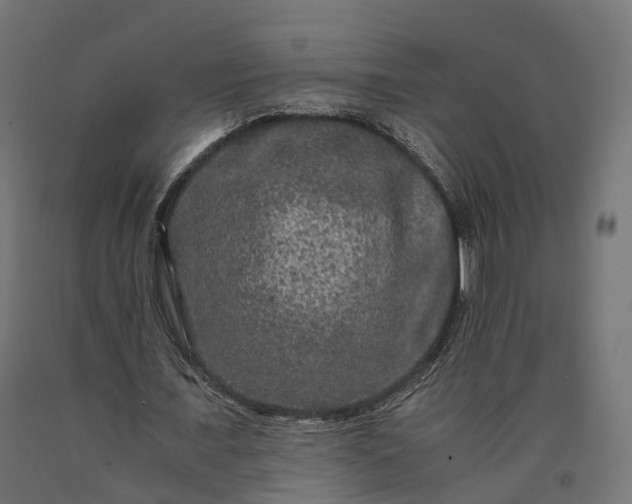 X0000090760675200708031631