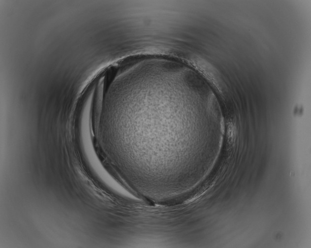 X0000090760676200708031631