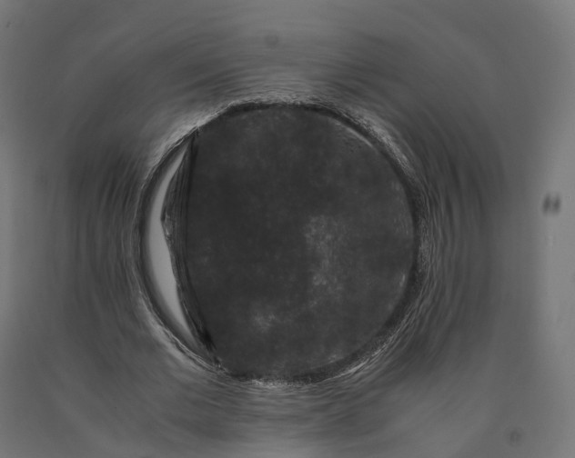 X0000090760677200708031631