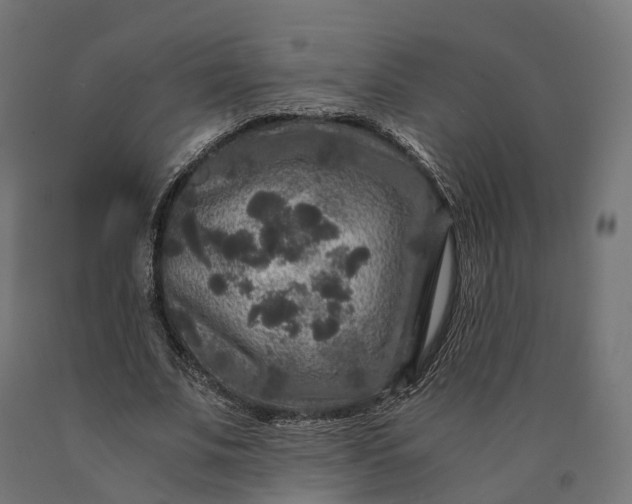 X0000090760679200708031631