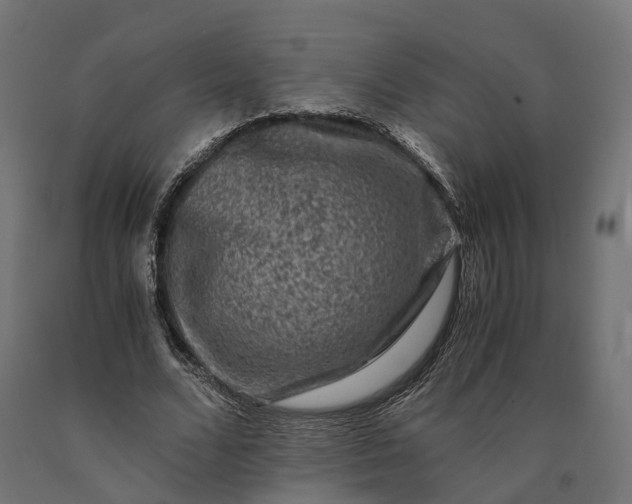 X0000090760680200708031631